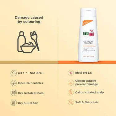 https://cdn.shopify.com/s/files/1/1857/6931/products/kWT7Y91SkW.jpg?v=1704524927